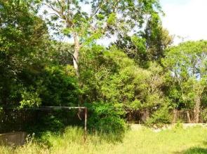 Vias-Village - T2 dans ancien domaine viticole