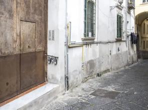 House Garden San Lorenzo