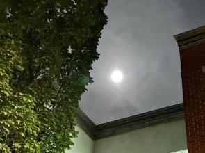 Pied-A-Terre Mont-Royal