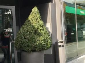 Penthouse Apartments Lakeside