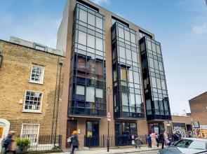 Still Life Warren Street