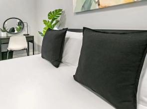 1BR Magnificent Apt in Belmont Chicago