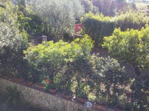 Nel Giardino Fiorito