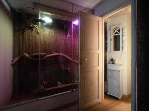 Unique 3 floor apartment. Garden, great location!