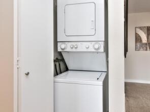 Essex by Stay Alfred