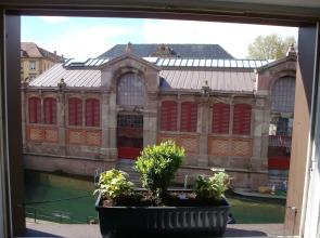 Sur Les Quais de Colmar
