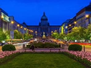 Oasis City Apartments