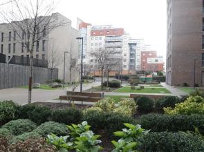 Pontoon Dock Apartment