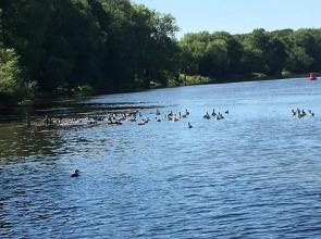 Apartment Lazoroski Arcen