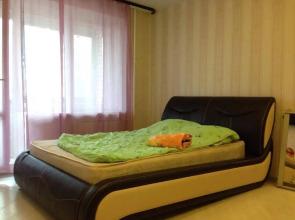 Tsentralnaya Apartament