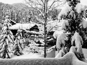 Chalet La Tania, 4 pièces, 13 personnes - FR-1-513-45