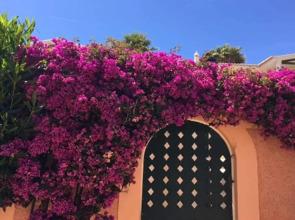 Vila Bela Nova Acácias 22