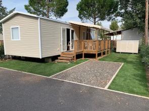 La Carabasse Oliviers 12