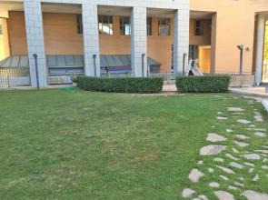 ApartUP L'Umbracle Views