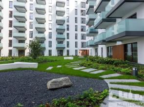 Millennium Port Nature