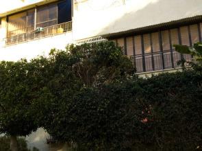 Prague Tlv by Paybox