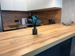 Apartamenty KvartBYURO na ul. Biryukova d. 16