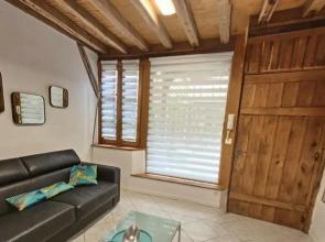 Scarabée Bleu Centre-Ville ConfortMon Groom