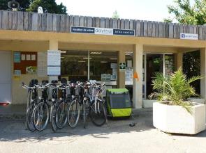 Camping Du Pont D'Avignon