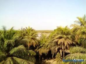 House With 3 Bedrooms in Cap Skirring, With Wonderful Lake View, Private Pool, Enclosed Garden - 800 m From the Beach