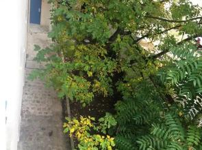 Hï¿½tel Des Fillettes