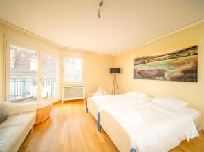 Alpine Stunning Apartment in Montreux