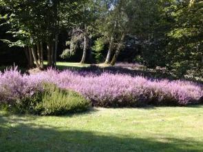 Chambres d'Hôtes Le Chalet