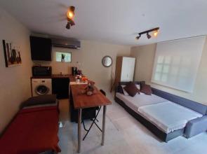 V35 Backyard studio home