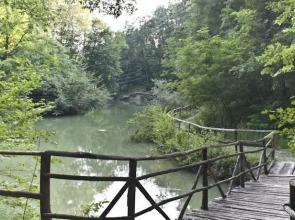 Parco Matildico Di Montalto