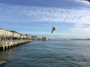 Duplex a 25 metros de la playa