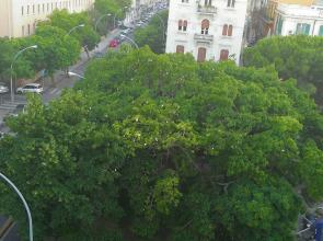 Queen Eliana Penthouse