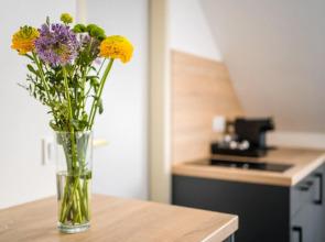 Servus Apartments by Homaris