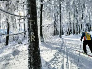 Urlaub im Blockhaus in der UNESCO-Region Thüringen