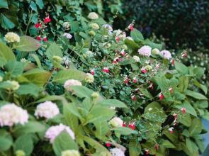 Luxury Architect Designed House