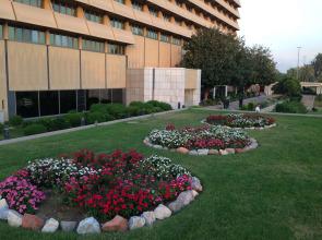 Royal Tulip Alrasheed Hotel