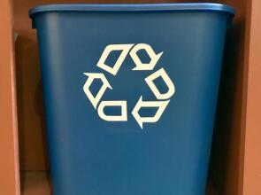 The Tropical Guesthouse