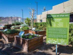 Eilot Kibbutz Country Lodging Hotel