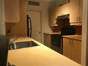 Quartier des Spectacles Downtown Loft Condos