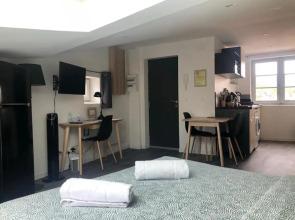Jolis Appartements au coeur de Clermont Ferrand - Proche Jaude - WIFI et NETFLIX