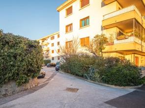 Appart Les Palmiers T3 3 Terrasse Dans Les Pins