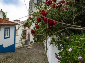 Boa Vida Social Club