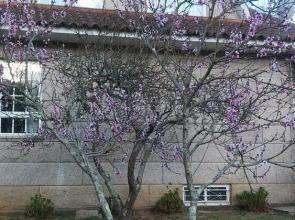 Redondela Pontevedra 102672 Villa By Mo Rentals