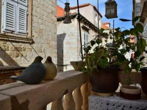 Apartment Dona Vesna