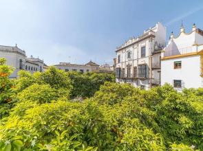 Rey Don Pedro Luxury Home