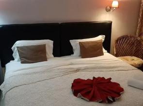 Room-beautiful Deluxe Double Room in the