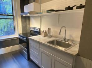 5-1 Pet Friendly! Private Room in Downtown Boston!