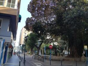 Calle Manero Mollá, 16, 6-3