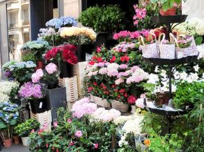 Short Stay Apartment Luxembourg