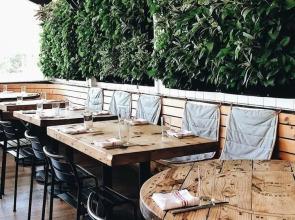 Ruschmeyers #16 - 2 Queen