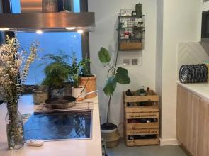 Pet Friendly 1 Bedroom Apartment in London Fields